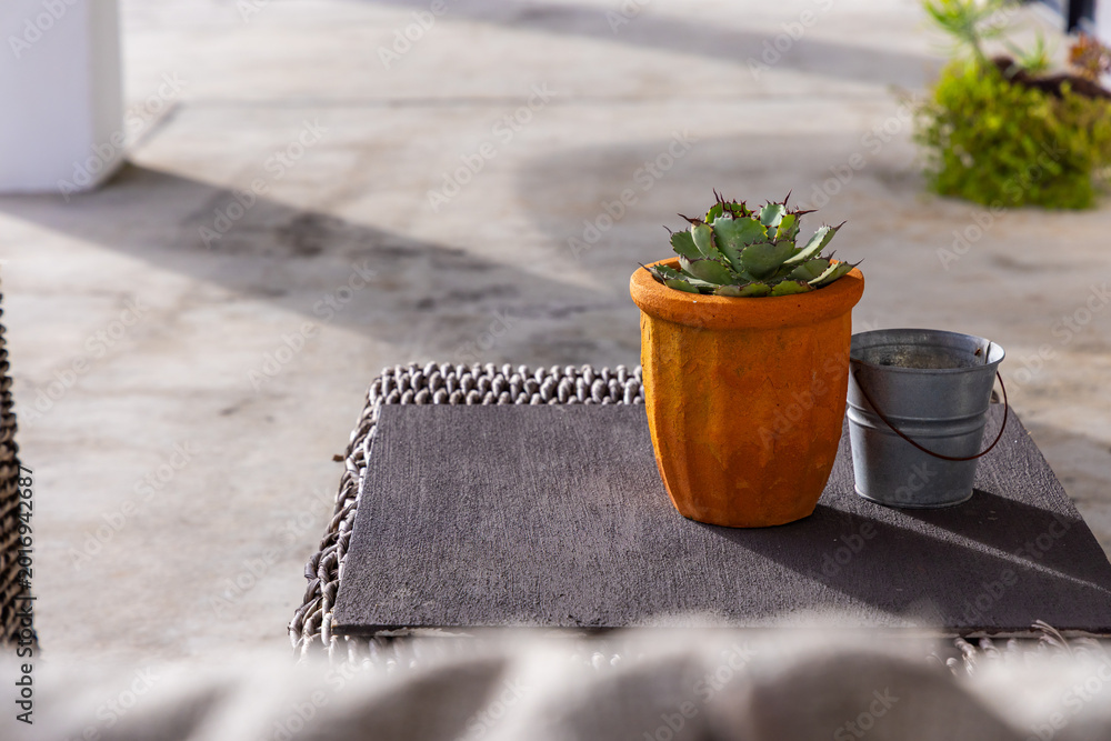 Fototapeta premium Green spiky succulent in orange terracotta pot sitting atop table, patio, metal bucket, copy space