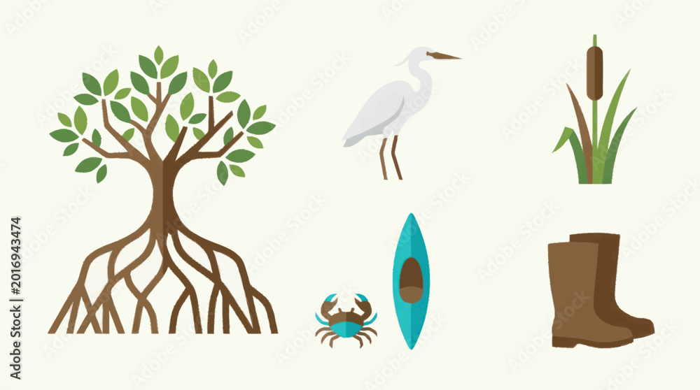 Obraz premium Collection of Wetland Ecosystem Elements and Activities.