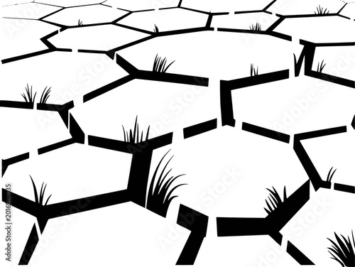 Cuadro en lienzo Cracked earth texture with sparse grass tufts, black and white pattern
