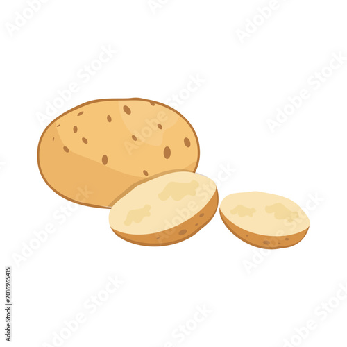Young potato isolated on white background. Harvest new