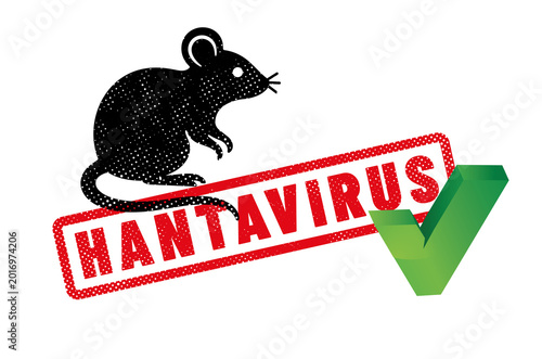 virus HANTAVIRUS ou orthohantavirus