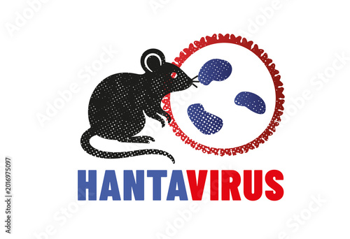 virus HANTAVIRUS ou orthohantavirus