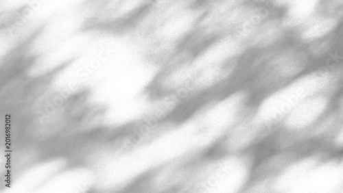 shadow of a tree sways on a transparent background