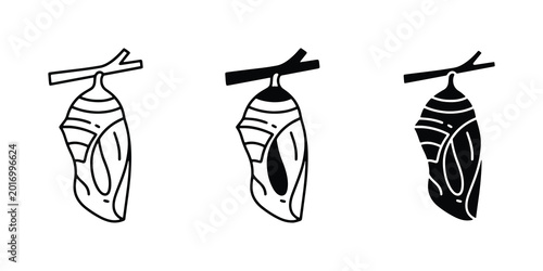 Bild auf Leinwand Butterfly Chrysalis Icons, Metamorphosis Stages, Insect Life Cycle Vector Art