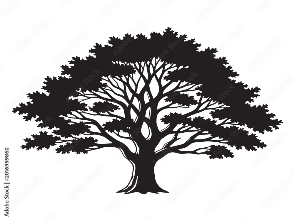 Fototapeta premium 391_Ultra_Real_Oak_Tree_Silhouette_2_20260303_011022.eps