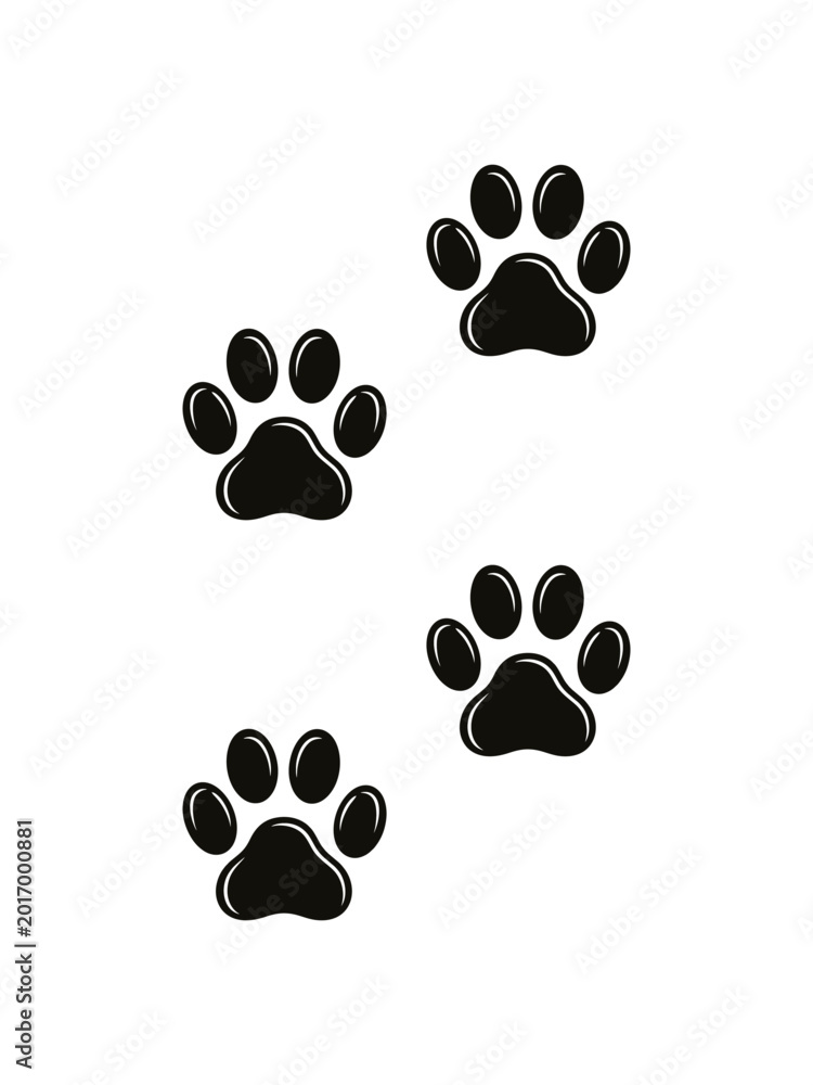 Fototapeta premium Black paw prints trail on white background