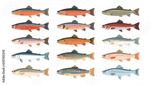 Konstfotografi Trout in Array: A visually stunning array of different trout species, each with unique characteristics and vibrant colors, showcases the diversity of aquatic life
