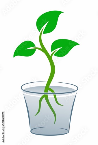 Symbol of a green young plant.
