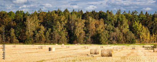 Quadro em tela Open fields stretch far and wide, dotted with round hay bales basking in sunshine