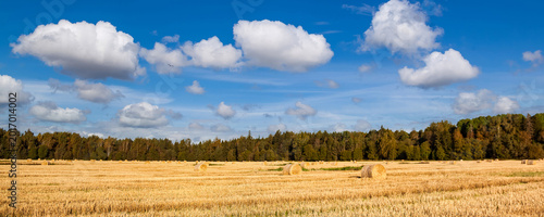 Quadro em tela Golden hay bales dot the expansive agricultural field, basking in the warm autumn sun