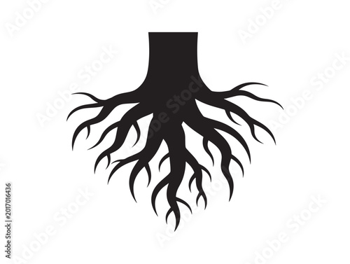 Large root buttress silhouette with majestic forest presence 