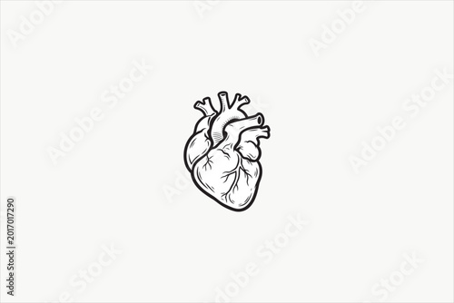 Detailed human heart anatomy illustration in black and white flat style, ideal for medical, healthcare, biology, anatomy, education, and science concepts. Vector illustration.