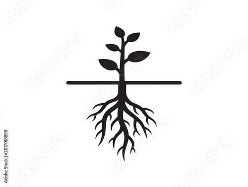 Detailed root depth concept with sophisticated natural structure 