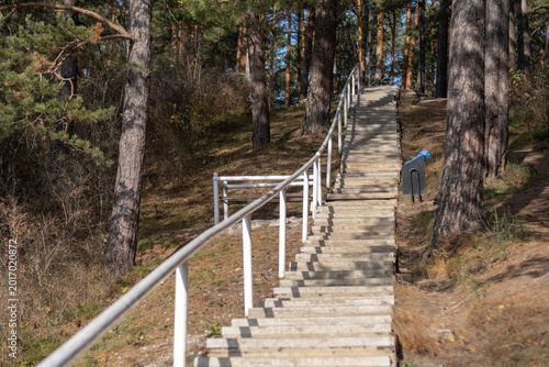 Tableau sur toile Concrete staircase with a handrail leads up through a forested area, flanked by