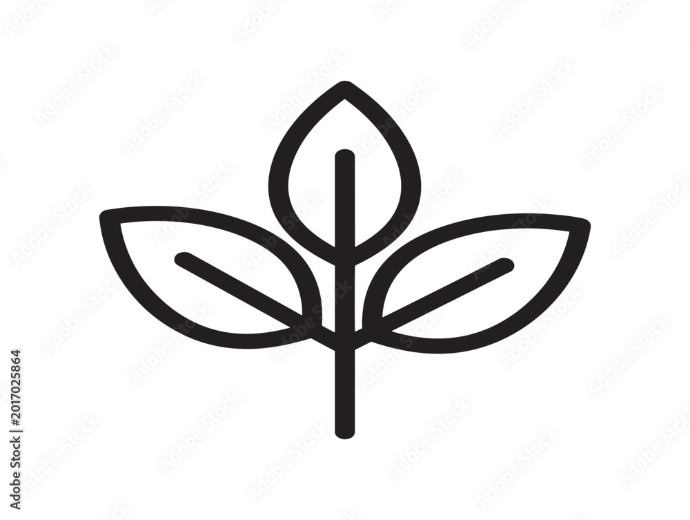 Fototapeta premium minimalist khat leaf line art vector illustration flat design