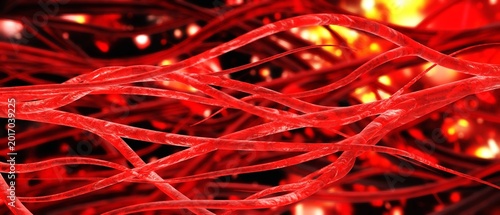 Quadro su tela blood vessels, veins and arteries, circulatory system, 3d rendering