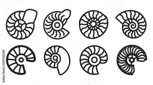 Nautilus Shell Cross Sections Vector Icons Collection