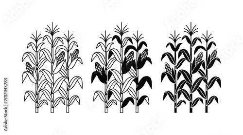 Fotografija Corn Stalk Vector Icons, Maize Plant Illustrations, Agricultural Harvest Graphic