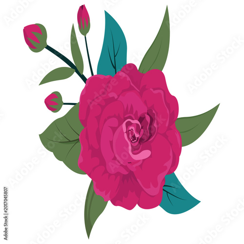 Beautiful pink rose flat icon spring garden flower