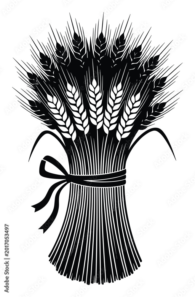 Fototapeta premium Wheat sheaf tied with ribbon symbolizing harvest and agriculture for food industry emblems