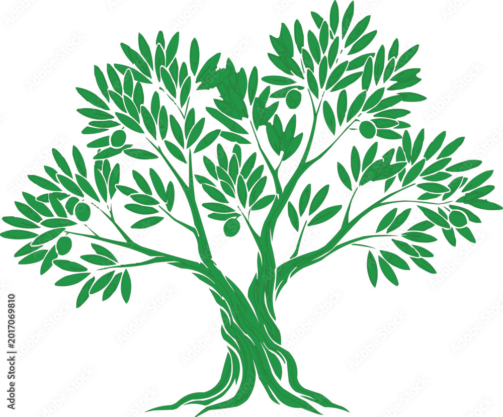 Obraz premium Olive tree illustration features a stylized green silhouette with detailed leaves and fruit branches.