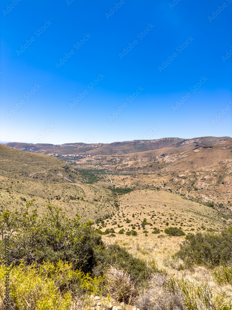 Naklejka premium View of arid landscape in a wildlife conservation
