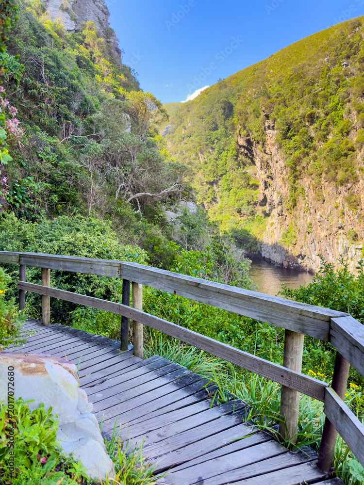 Fototapeta premium Wooden walkway decking winding its way through the Storms River Mouth area