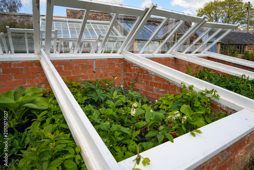 A brick cold frame for growing plants early in a sheltered environment