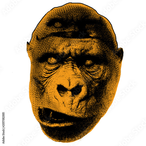 Obraz na plátně kingkong