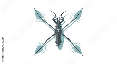 Stylized water strider insect illustration on white background