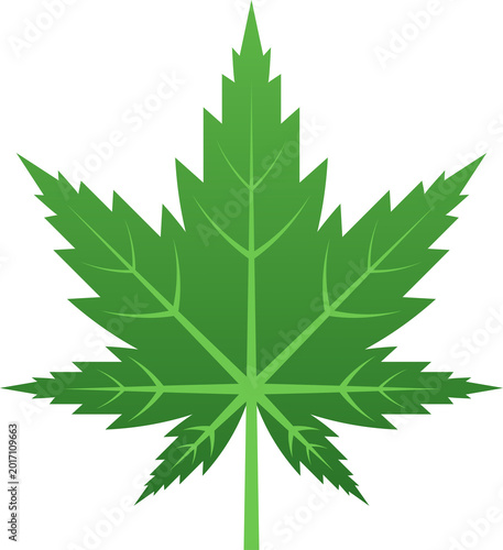 Fotografía Stylized green leaf with multiple pointed lobes and a central stem, depicted against a clean white background