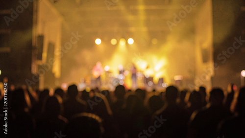Energetic crowd enjoying a live music concert performance