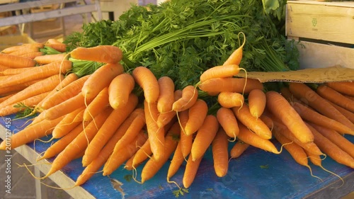 Natural carrots in warm sunlight