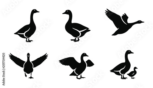 Foto 6 Goose silhouette icons flying standing gosling, solid black style, farm animal