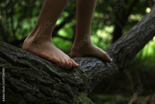 walking on a tree with bare feet
