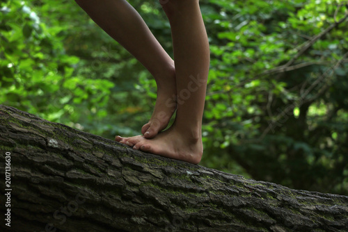 walking on a tree with bare feet