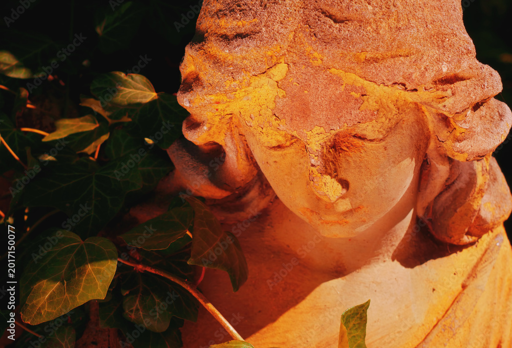 Fototapeta premium Weathered stone angel surrounded by ivy in golden evening sunlight