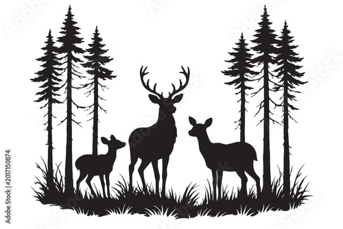 Valokuva Rustic deer family silhouette in pine forest, black buck and doe wildlife vector