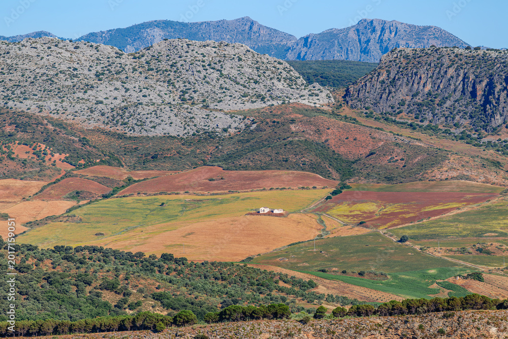 Fototapeta premium Landscape near the city of Ronda, Andalusia, Spain