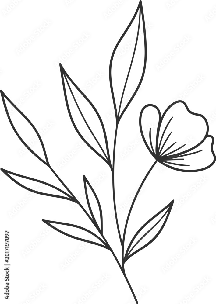 Obraz premium Minimalist floral line art, delicate flower and leaves illustration, botanical outline drawing