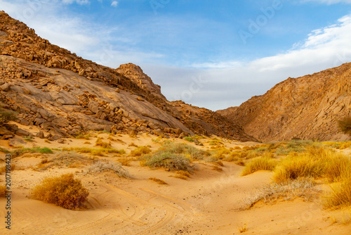 Canvastavla A Saharan landscape