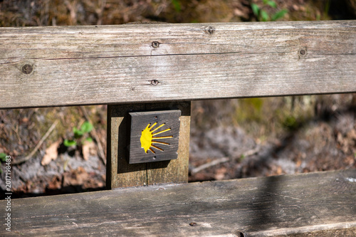 Wooden Forest Trail Marker With Pilgrim Symbol