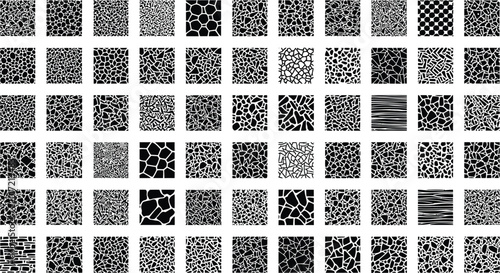 Collection of black and white abstract organic and geometric patterns, animal prints, and textures