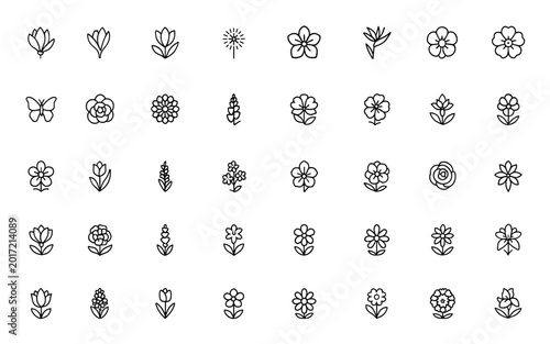 Vászonkép Vector line icons set of flowers featuring magnolia, crocus, calla lily, dandelion, azalea, bird paradise, anemone, and various species - thin linear pictograms illustration, nature, botanical