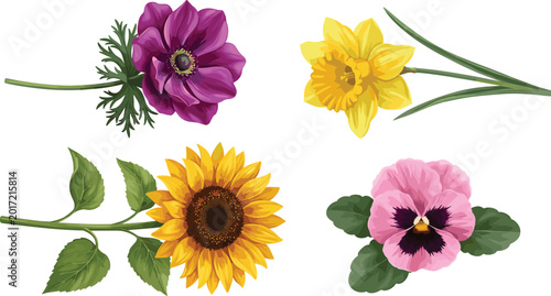 Bild auf Leinwand Colorful floral vector collection featuring sunflower, daffodil, pansy and anemo