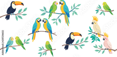 Cuadro en lienzo Colorful tropical bird collection vector illustration, parrots toucans cockatoos