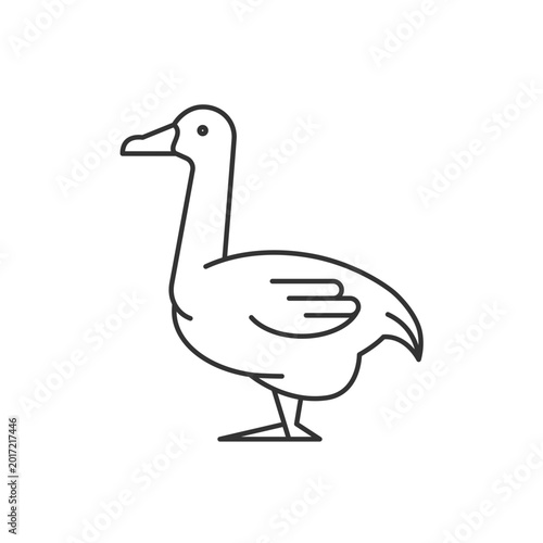 Foto Goose linear icon