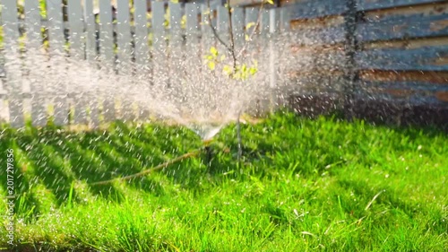 Garden sprinkler watering green lawn with water drops in sunny backyard