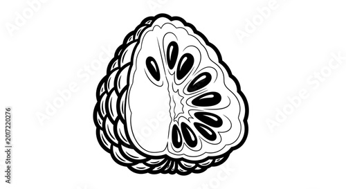 Fotografie Black and white illustration of a custard apple cut in half isolated