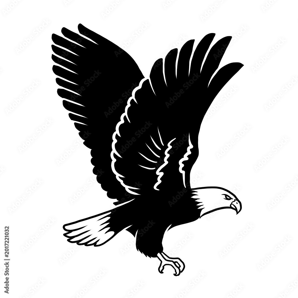 Obraz premium black and white of flying eagle